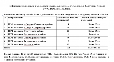 Информация по пожарам и загораниям массивов леса и леса кустарников в Республике Абхазия  с 03.03.2020 г. по 11.03.2020 г.