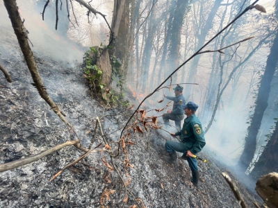 Природный пожар в окрестностях высокогорного села Псху, Сухумского района