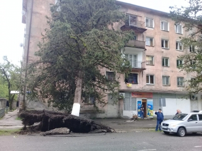 Сильные порывы ветра ночью 28 мая привели к частичным разрушениям в Ткуарчале. Чрезвычайная ситуация произошла в 23 часа 30 минут, когда резко усилился ветер, были повалены деревья